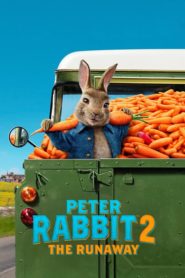 PETER RABBIT 2 CONEJO EN FUGA