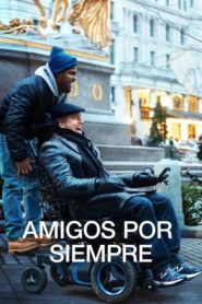 The Upside