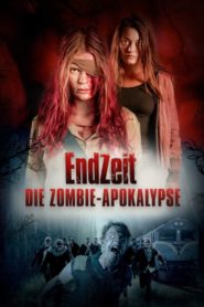 Apocalipsis: El Fin De Los Tiempos (Endzeit)