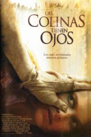 Las colinas tienen ojos, El despertar del diablo