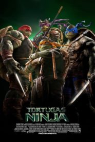 Ninja Turtles