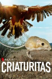 Ver Fauna minúscula Serie Documental 2020