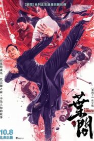 Ip Man: Kung Fu Master