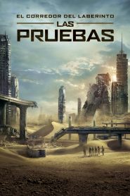 Maze Runner 2 El corredor del laberinto Las pruebas