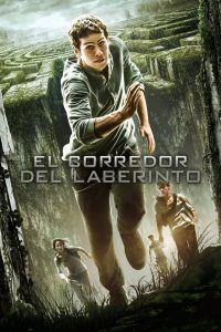 Maze Runner 1 El corredor del laberinto