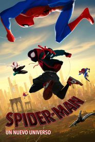 Spider-Man Un nuevo universo