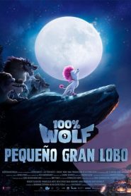 100% Wolf Pequeño gran lobo