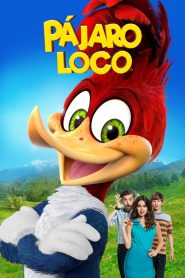 El pájaro loco La película